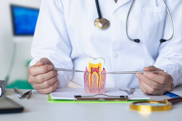 Best Pediatric Emergency Dentist in Huntsville, TN